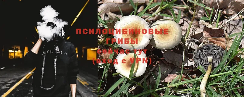 где купить наркоту  МЕГА   Галлюциногенные грибы MAGIC MUSHROOMS  Бирск 